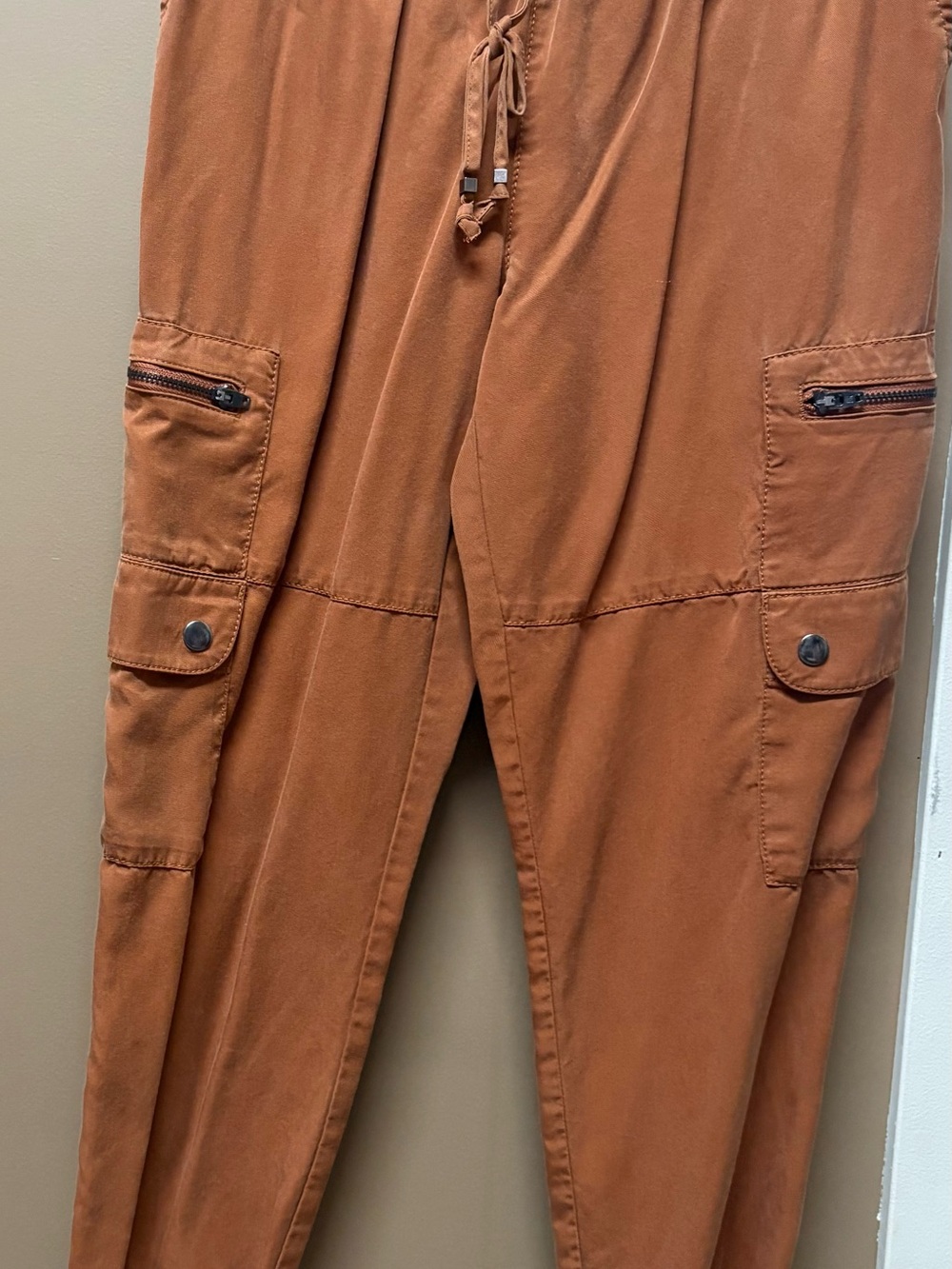 Banana Republic women’s Cargo Pants in Rust Brown